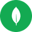 Imagen de MongoDB